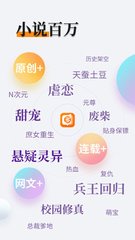 开云官网app